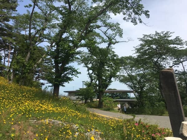 西行戻しの松公園　夏のパノラマハウス周辺